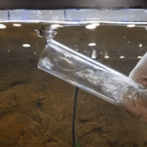 Gravel Vacuum a fish tank